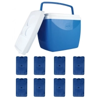 Kit Caixa Trmica 18 Litros com Ala Azul + 8 Barras de Gelo Artificial