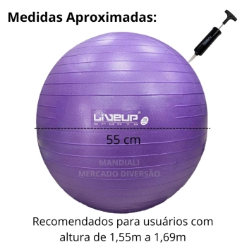 Bola Suia de Pilates Premium Anti Estouro 55 Cm Roxa + Mini Bomba Treino Academia Yoga Exercicios